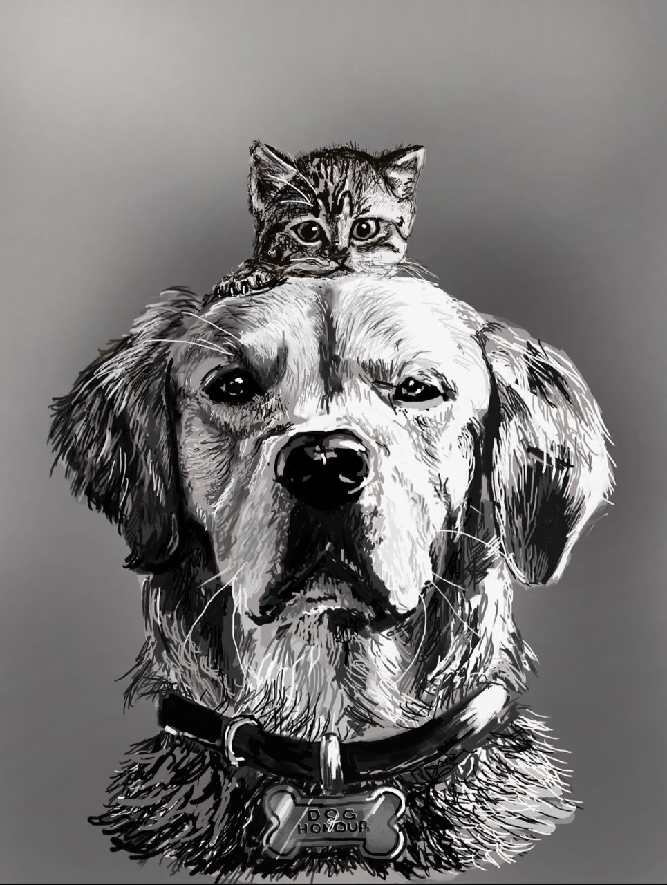 Portrait Illustration